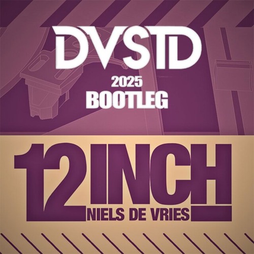 Niels De Vries - 12 Inch (DVSTD Bootleg 2025)