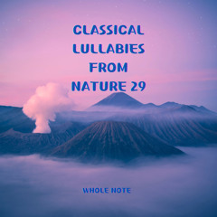 Claude Debussy : Images Book 1, L.110 I. Reflets Dans L Eau