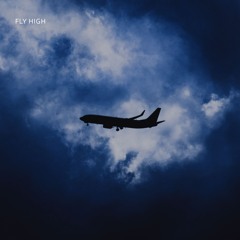ambit. - fly high