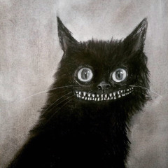 Sarace - Chat souriant