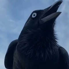 RIKE LIVE! 9pm-11pm 11/1/25 Dia de Los Muertos