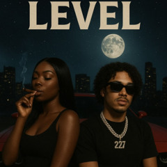Level