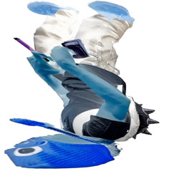 shoe