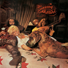 Shepherd's Song (Amazing Blondel Cover)