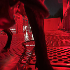 girls in the hood - megan thee stallion (cover)