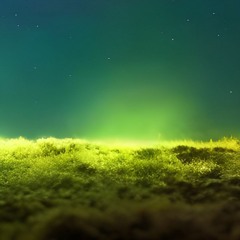 The Verdant Hollow Floor