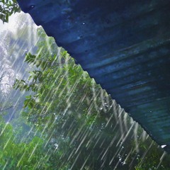 Rain On Tin Roof | Sleep, Study Or Relax To Rain White Noise (75 Minutes)