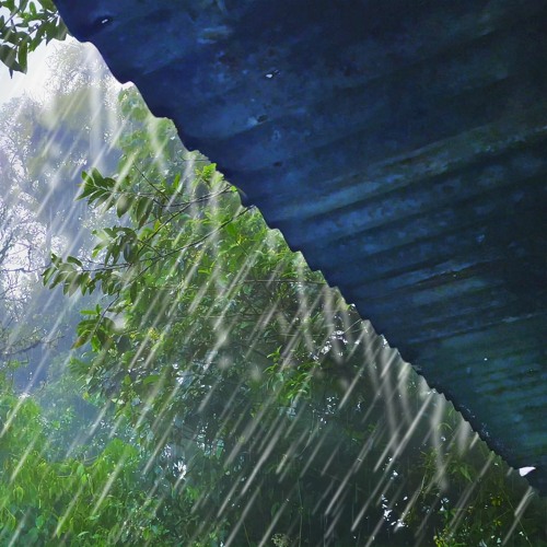 Rain On Tin Roof | Sleep, Study Or Relax To Rain White Noise (75 Minutes)