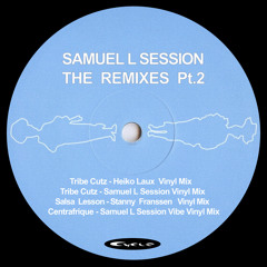 Salsa Lesson (Stanny Franssen Vinyl Mix)