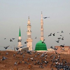 Laytanī fī sirb al-ḥamām | ليتنى فى سرب الحمام | قصيدة عن الاشتياق إلى الحرم الشريف