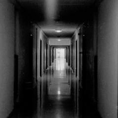 Welcome to the Shadowlands