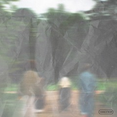 Analog / Memory Wipe