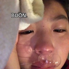 Viet Tri Pho Vol 13