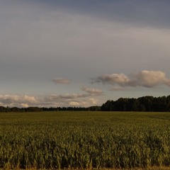 Крынки до зари-РАТНЫЙ