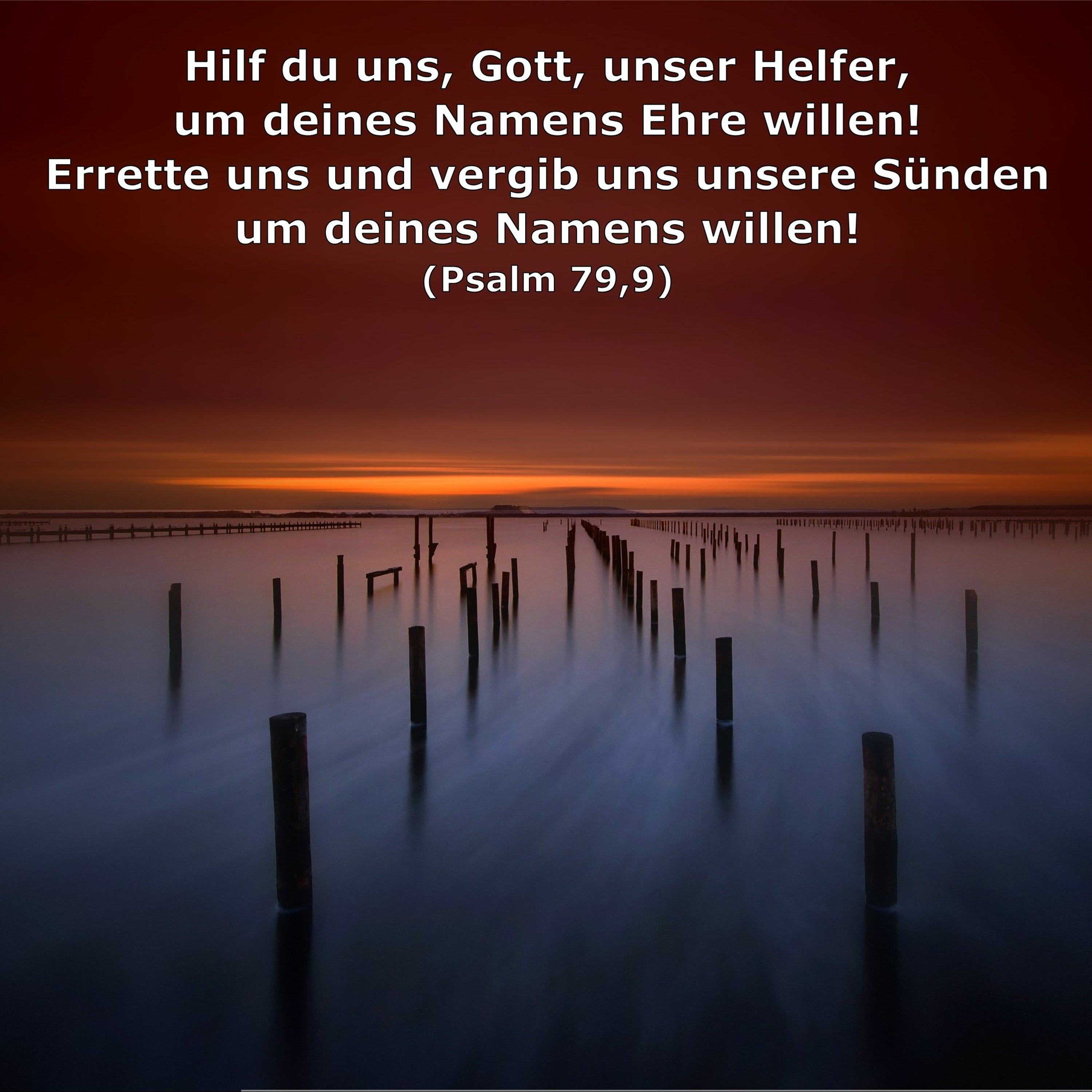 In einem Jahr durch die Bibel