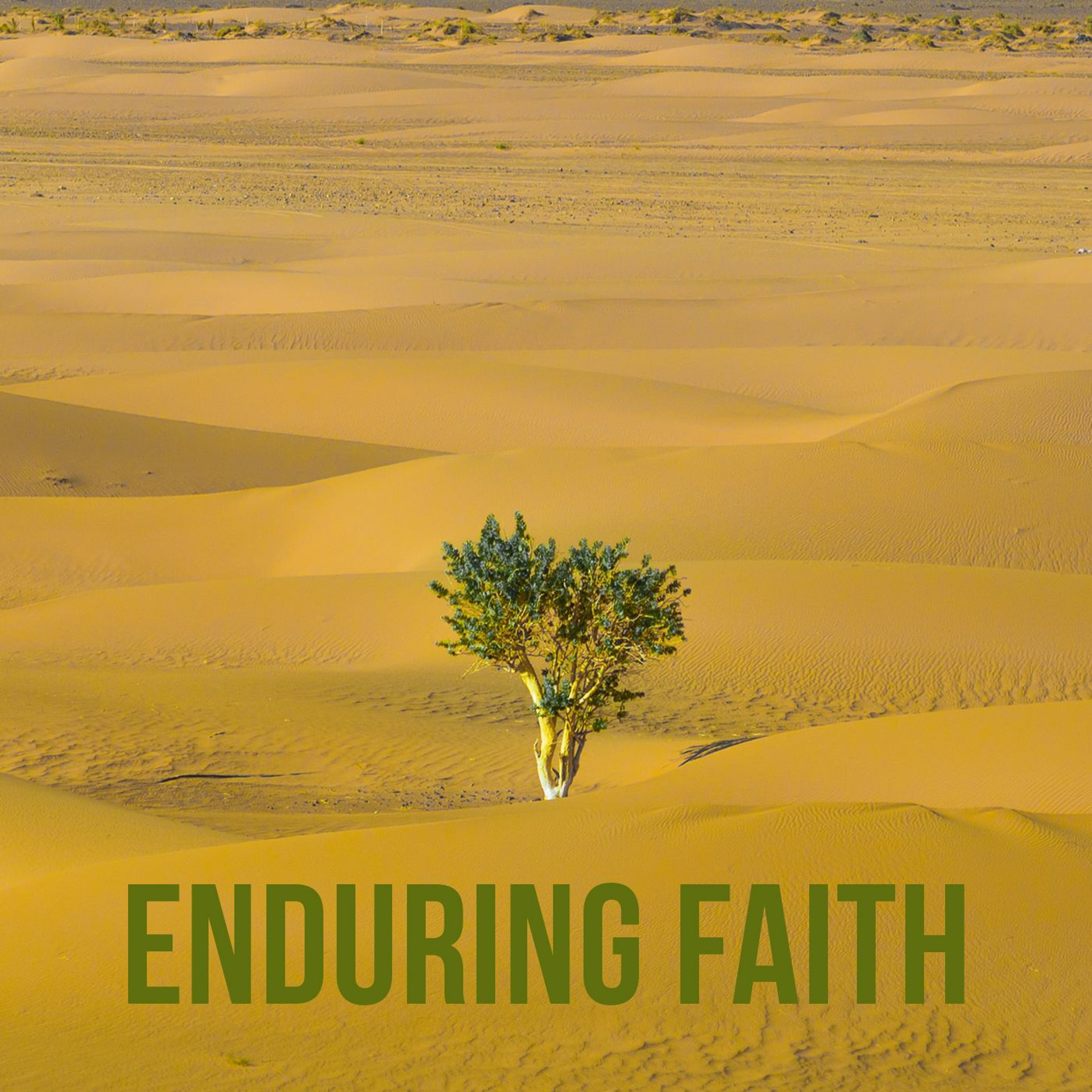 Enduring Faith episode artwork