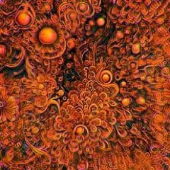 AsifGilboa X AvinoamErez - OrangeSeason