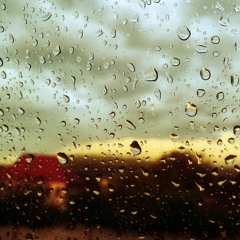 Rainy Day