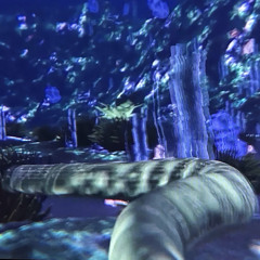 Snake Lake
