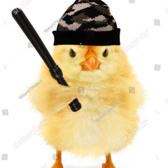 schranzküken 🐣