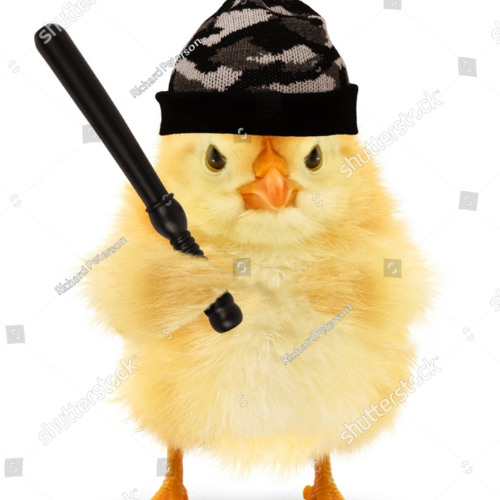schranzküken 🐣