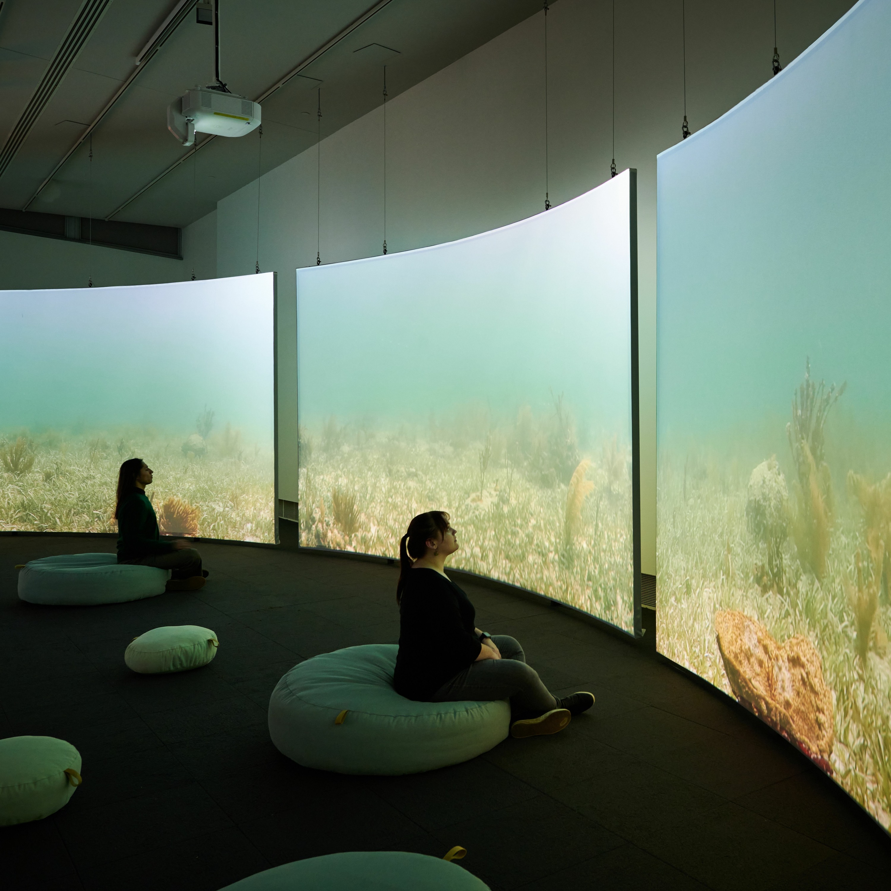 WexCast: Hope Ginsburg, Gina Siepel, and Sara Smith on Meditation Ocean episode artwork