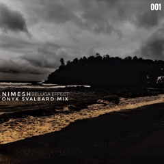 Onyx Svalbard Mix 001 - Nimesh