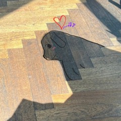 힙합 강아지의 신나는 비트