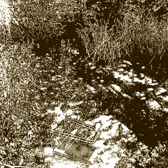 Xylofunt - Speedgloat 58