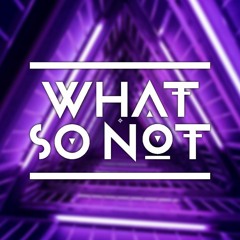 T.A.T.u. Vs. What So Not - All The Things You Said Vs. Touched (What So Not Edit)