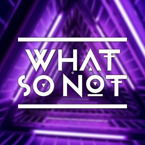 T.A.T.u. Vs. What So Not - All The Things You Said Vs. Touched (What So Not Edit)