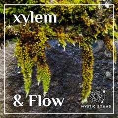 08. Xylem - River Of Sanitea