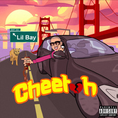 Cheetah