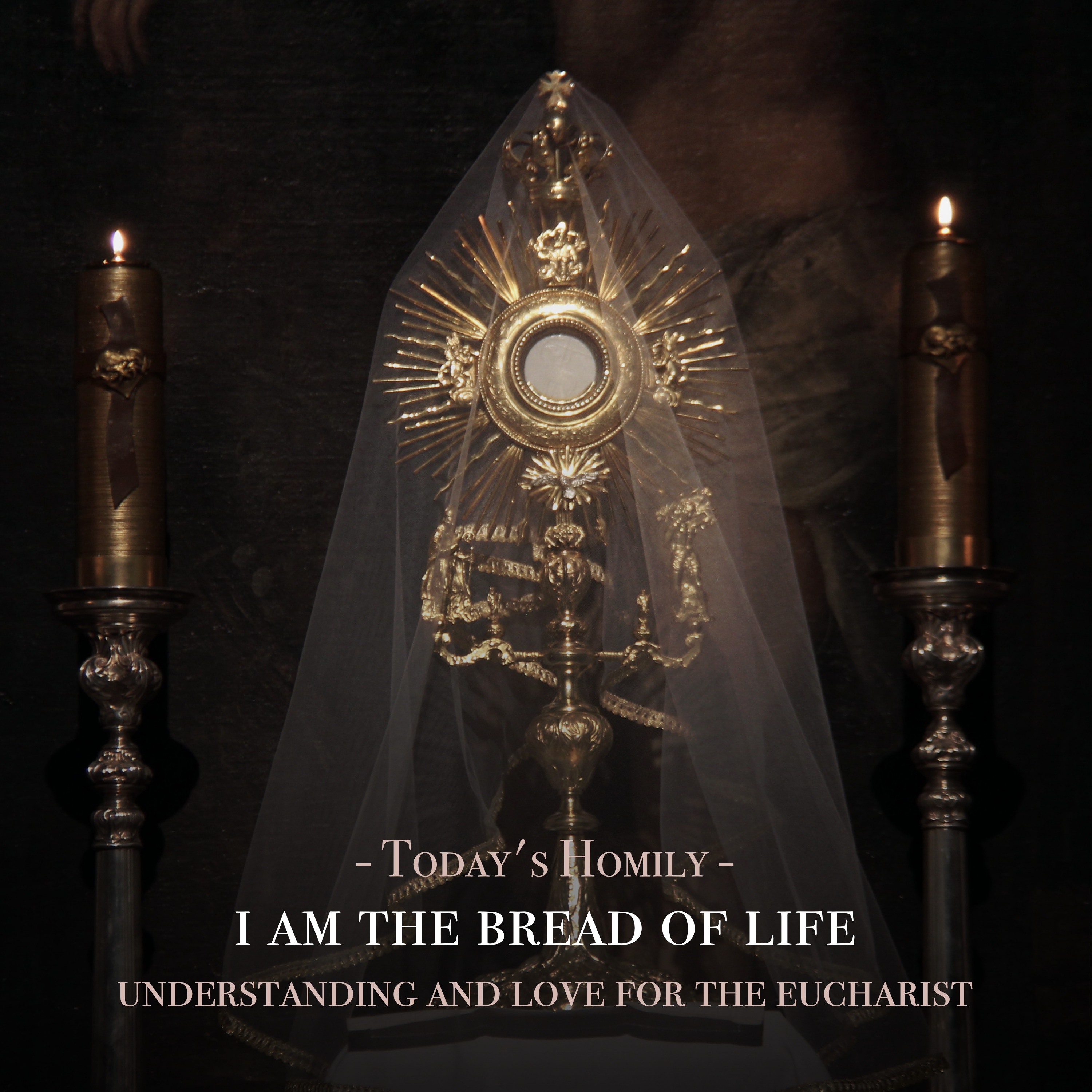 Fr. Barry Braum - Homilies and Conferences