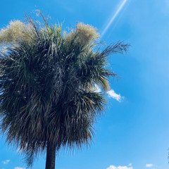 fr95styl6-2 feat YBLos