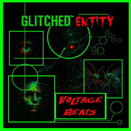 Glitched Entity