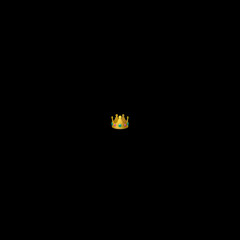 FIN - KING