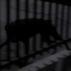YUMZATRE - SOMBRAS -
