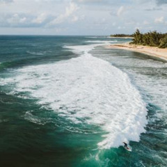 Best Things To Do In The North Shore Of Oahu Tours Reviews