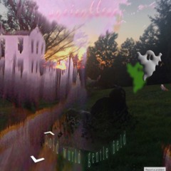 cold wurld gentle field