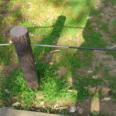Curve of the air
