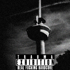 Alles Naar De Klote (Trauma Exhibition Bootleg)