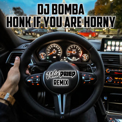 DJ Bomba - Honk If You Are Horny (Wilddried Remix)