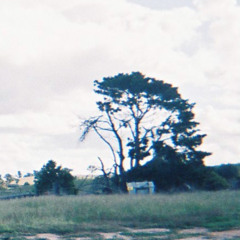 Young Dolph - Baller Alert (Trigger Flinch Remix)