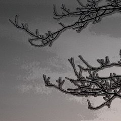 autumn.