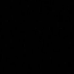chimeric chamber [electronics part only]