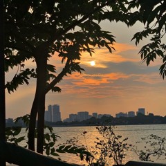 #Thiên nhược hữu tình/天若有情