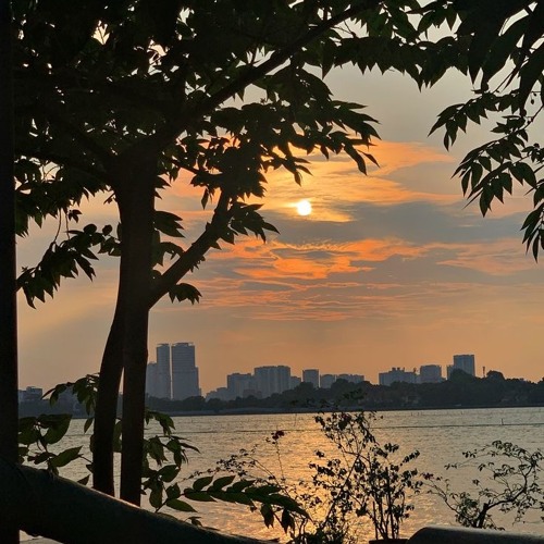 #Thiên nhược hữu tình/天若有情