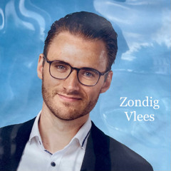Zondig Vlees