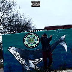 my bag (big l 98 freestyle) (remix)